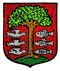 Blason héraldique de la famille Heyvaert1