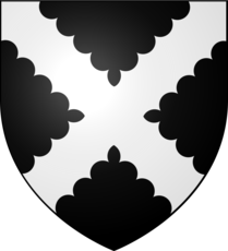 Blason héraldique de la famille Pinnocx