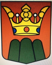Blason héraldique de la famille Supersaxo