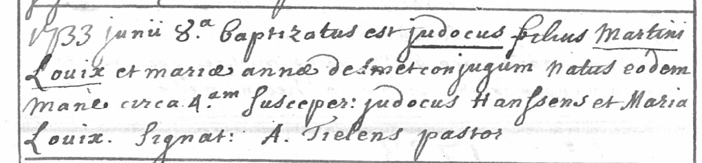 Acte de naissance de Judoci LOIX